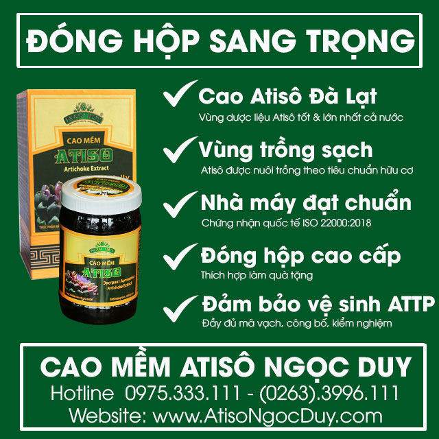 Cao Mềm Atiso Ngọc Duy hộp 500g cao cấp