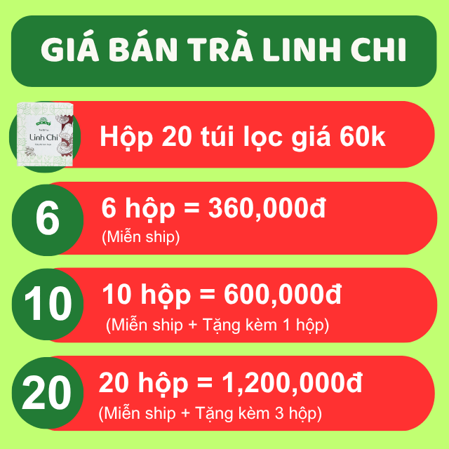 Giá Trà Linh Chi