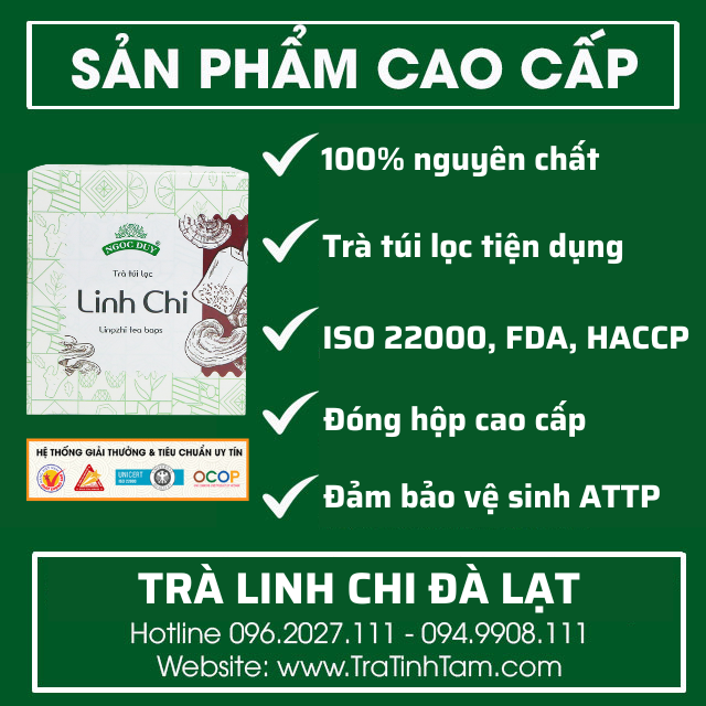 Trà Linh Chi Đà Lạt