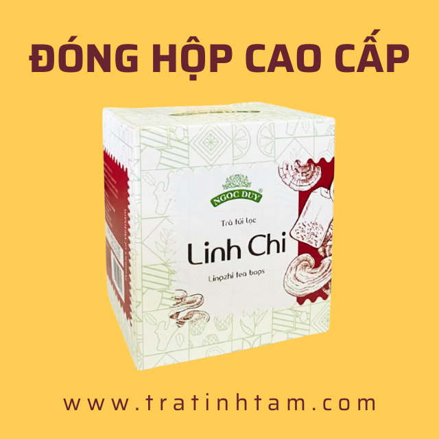 Trà Linh Chi hộp cao cấp