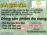Cà Gai Leo tphcm