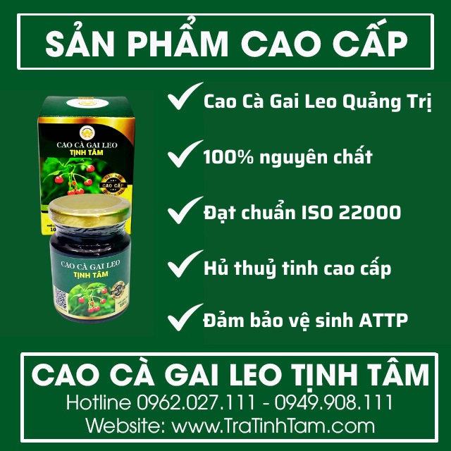 Ưu điểm Cao Cà Gai Leo Tịnh Tâm
