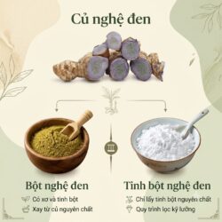 Phân biệt bột nghệ đen & tinh bột nghệ đen