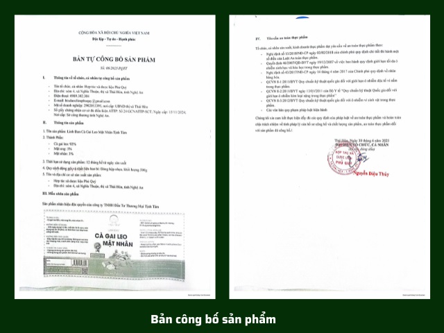 Công bố Viên Cà Gai Leo