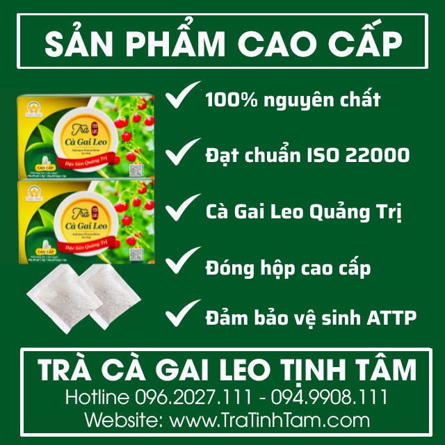 Trà cà gai leo Tịnh Tâm