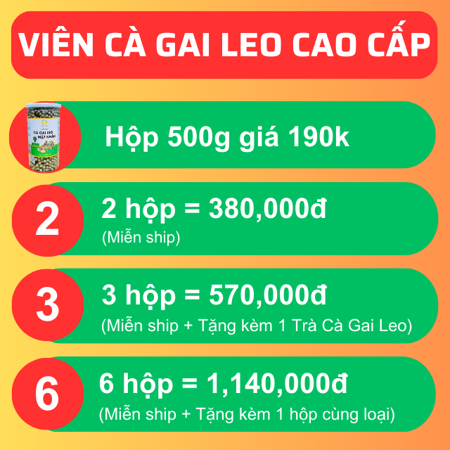 Giá Viên Cà Gai Leo