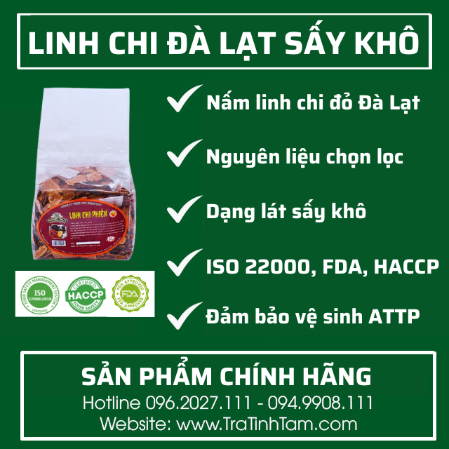 Linh Chi Đà Lạt Sấy Khô Linh Chi Đà Lạt Sấy Khô