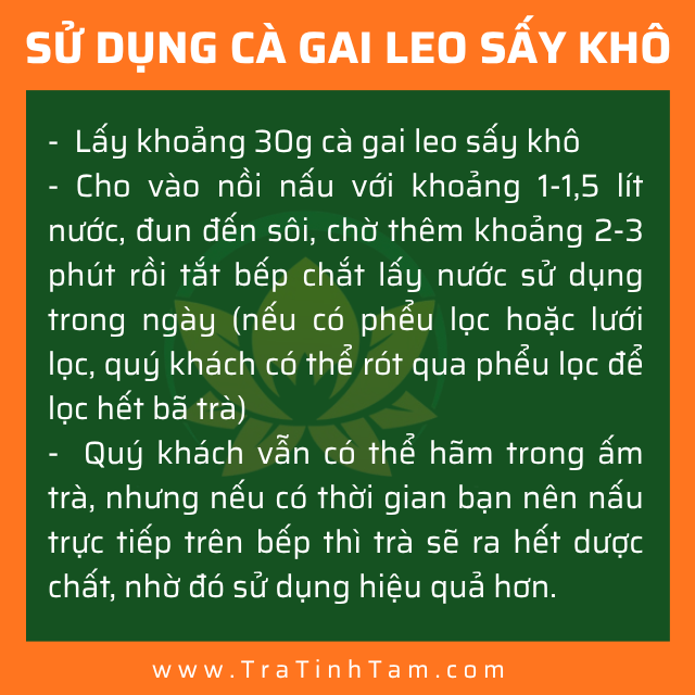 Cách sử dụng Cà Gai Leo