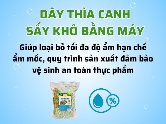Dây thìa canh sấy khô Dây thìa canh sấy khô