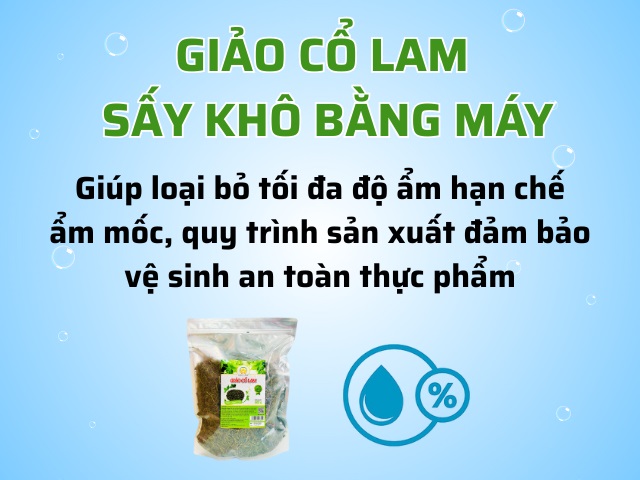 Giảo cổ lam sấy khô
