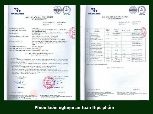 PKN Dây Thìa Canh
