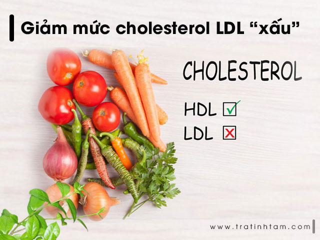 Dây Thìa Canh có thể giúp giảm mức cholesterol LDL “xấu”