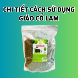 Sử dụng giảo cổ lam như thế nào