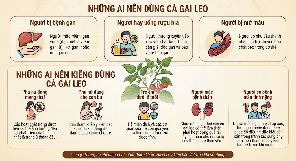 Ai nên dùng và kiêng dùng cà gai leo