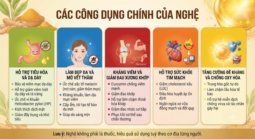 Các công dụng của nghệ