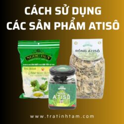 Cách sử dụng Atiso