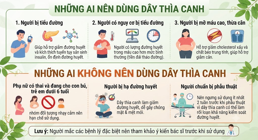 Những ai nên dùng dây thìa canh và những ai không nên dùng dây thìa canh