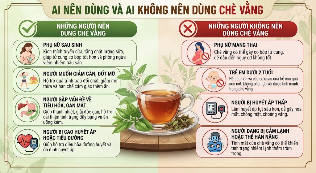 Những ai nên dùng chè vằng và những ai không nên dùng chè vằng