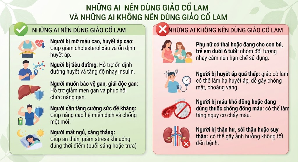 Những ai nên dùng giảo cổ lam và những ai không nên dùng giảo cổ lam