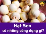 Hạt Sen có công dụng gì