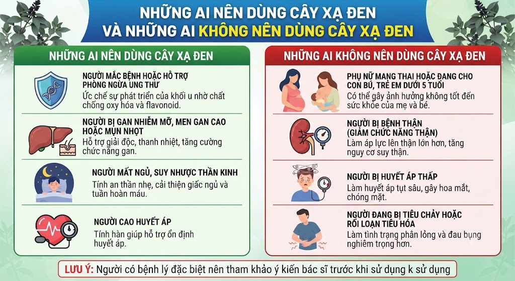 Những ai nên dùng xạ đen và những ai không nên dùng xạ đen