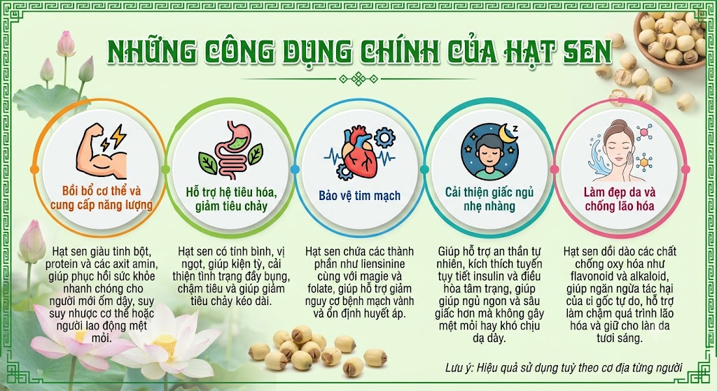 Những công dụng chính của hạt sen