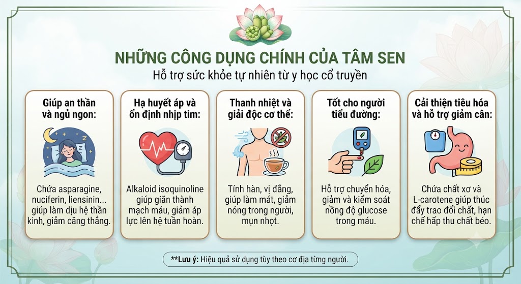 Những công dụng chính của Tâm Sen