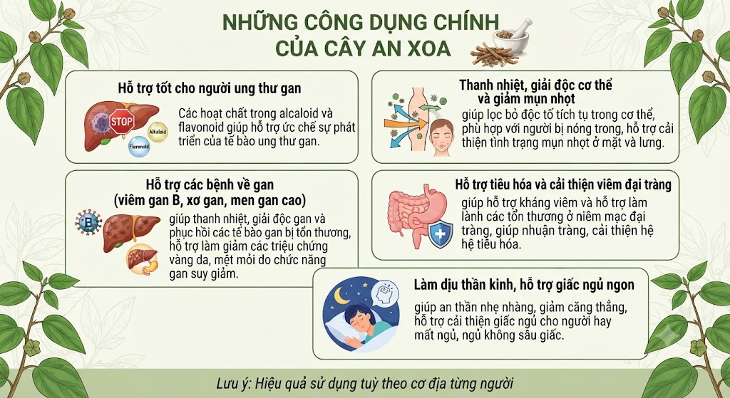 Những công dụng của Cây An Xoa