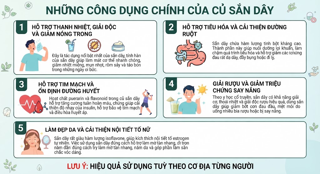 Những công dụng của sắn dây