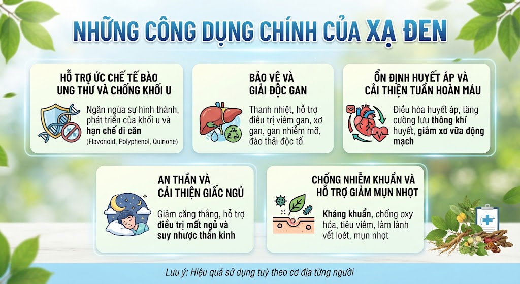 Những công dụng của xạ đen