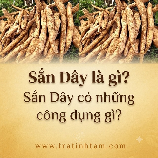 Sắn dây là gì