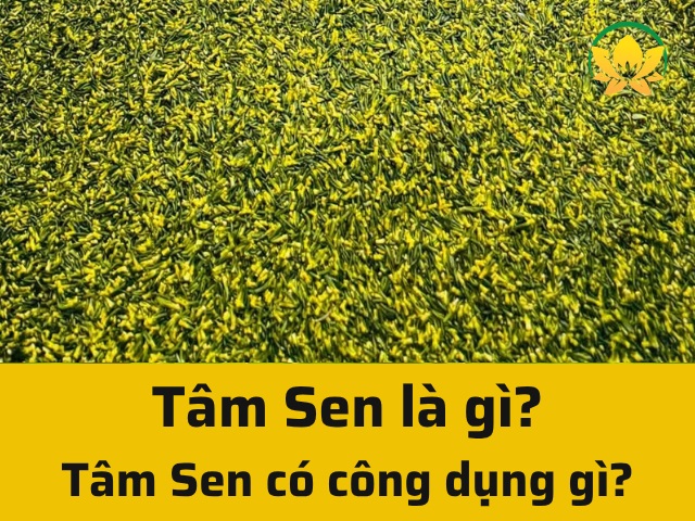 Tâm Sen là gì